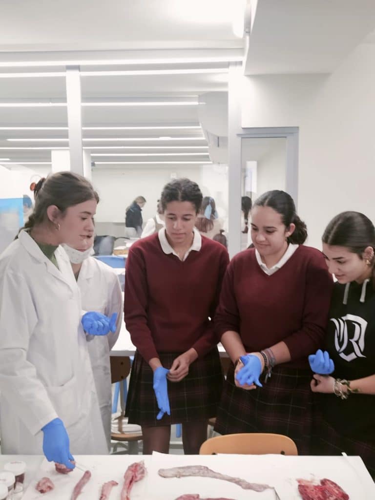 Dia Internacional de la Mujer y la Nina en la Ciencia Ribamar ESO FP sanidad Sevilla