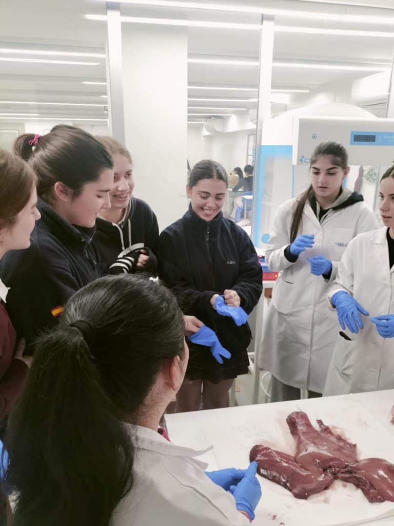 Dia Internacional de la Mujer y la Nina en la Ciencia Ribamar ESO FP sanidad Sevilla