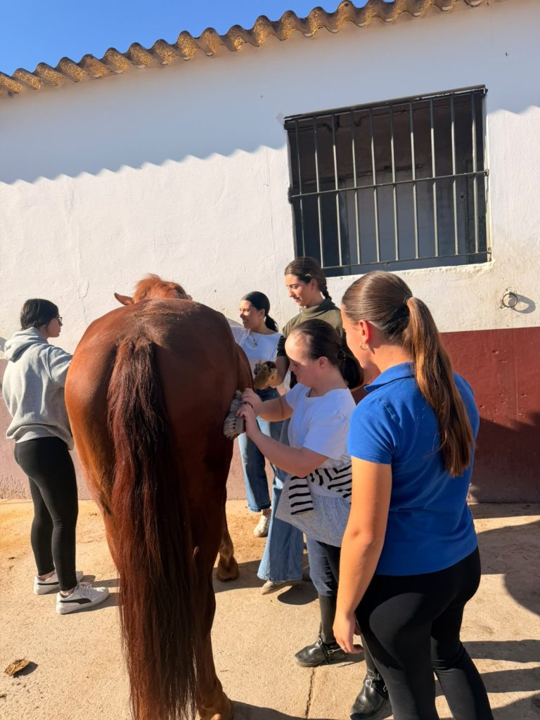 terapias ecuestre dependencia Ribamar Sevilla